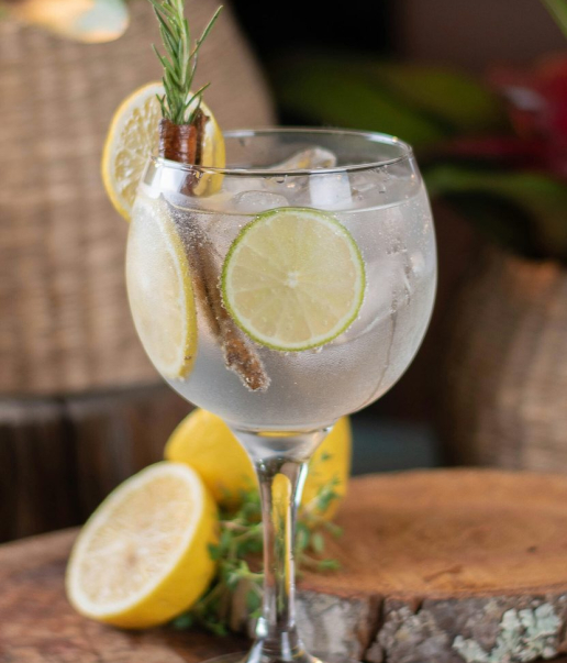 Gin Tonic mit Eiswürfeln, Zitrone, Limette und Rosmarin im Wirtshaus Ausspann´